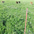 Clôture de 2,4 m de hauteur pour le cheval